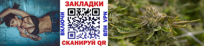 МЕФ Никольск