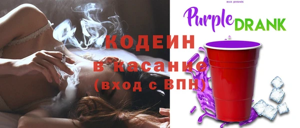 гашик Аркадак