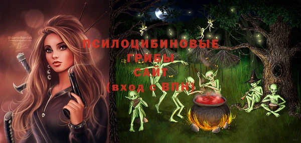 трава Арсеньев