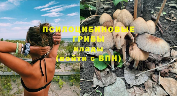 прущие крисы Армянск