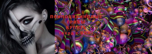 прущие крисы Армянск