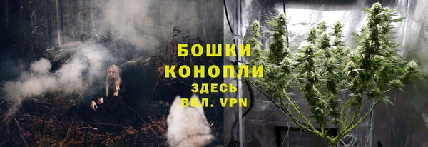 трава Арсеньев