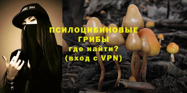 трава Арсеньев